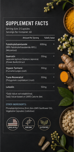 Top Factories — Nervous System Support